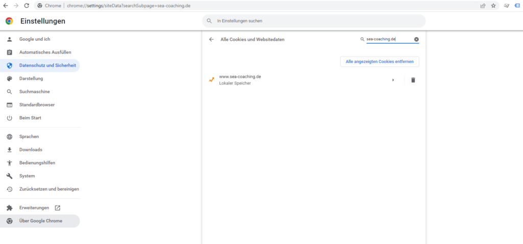 Screenshot: Test erfolgreich: leerer GTM-Container setzt keine Cookies!