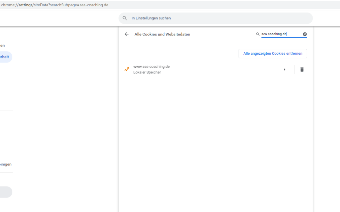 Screenshot: Test erfolgreich: leerer GTM-Container setzt keine Cookies!